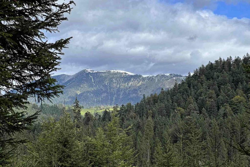 Steilenhütte Kälbersteig Wankblick