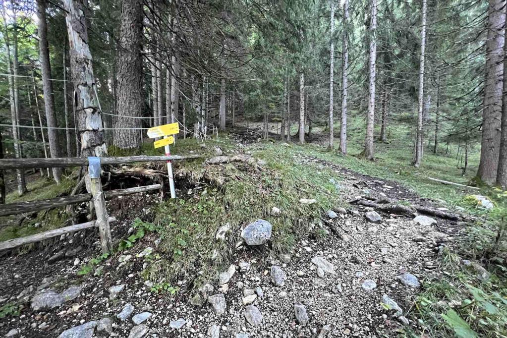 Jägersteig Abzweig Rehbergalm Weg