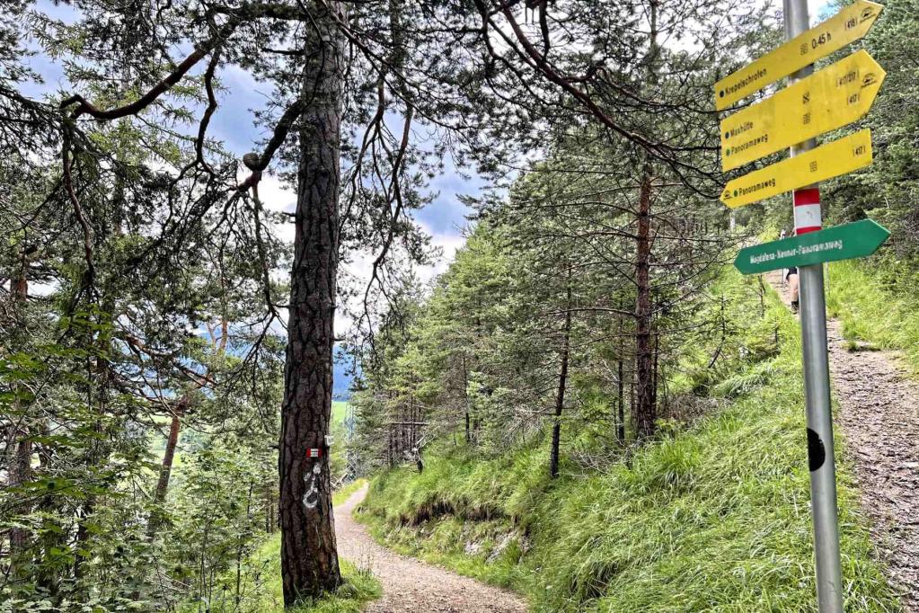 Abzweig Wanderweg Krepelschrofen Panoramaweg