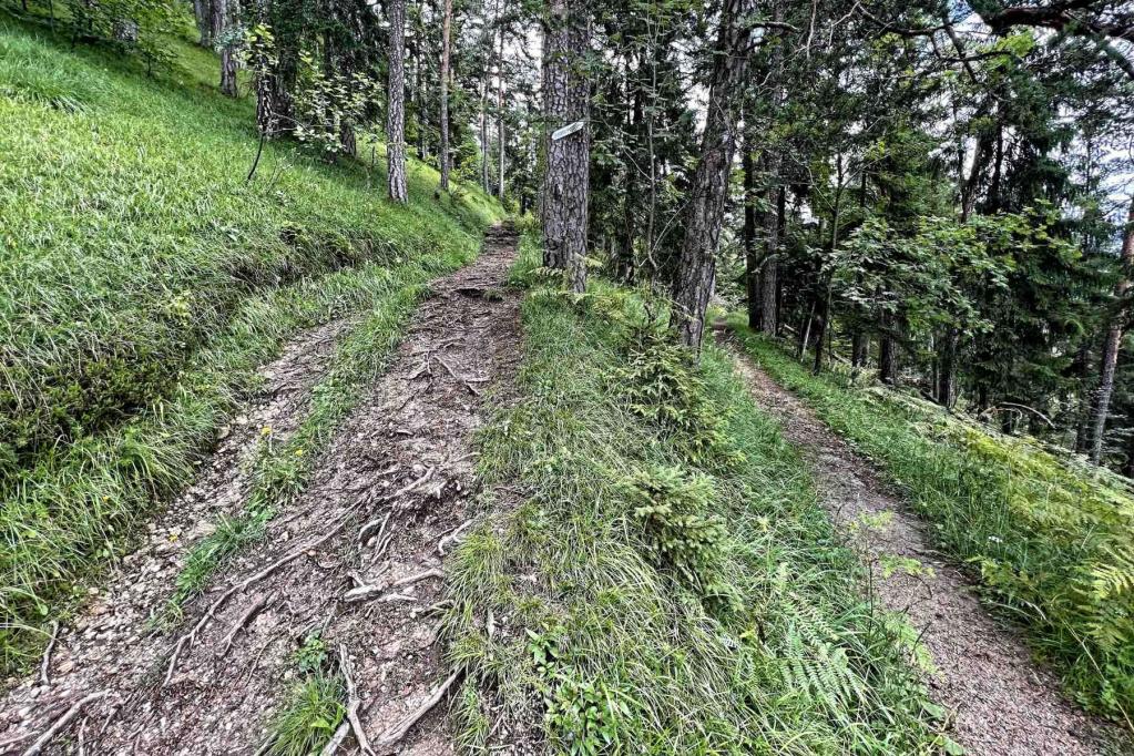 Wanderweg Gipfel Krepelschrofen