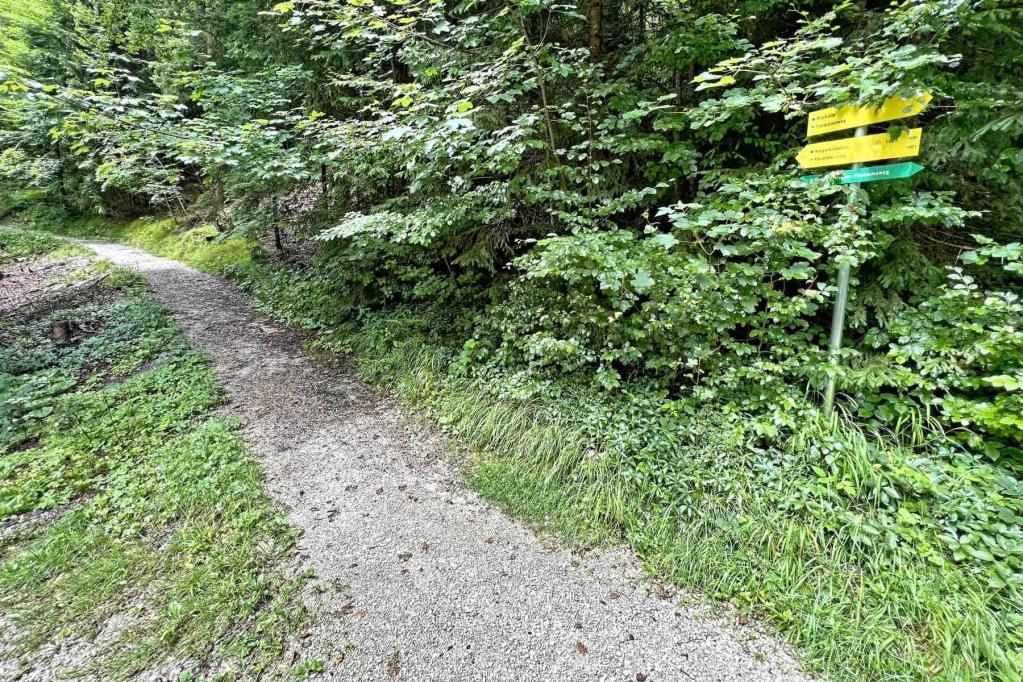 Abzweig Panoramaweg Krepelschrofen Wallgau Bichl