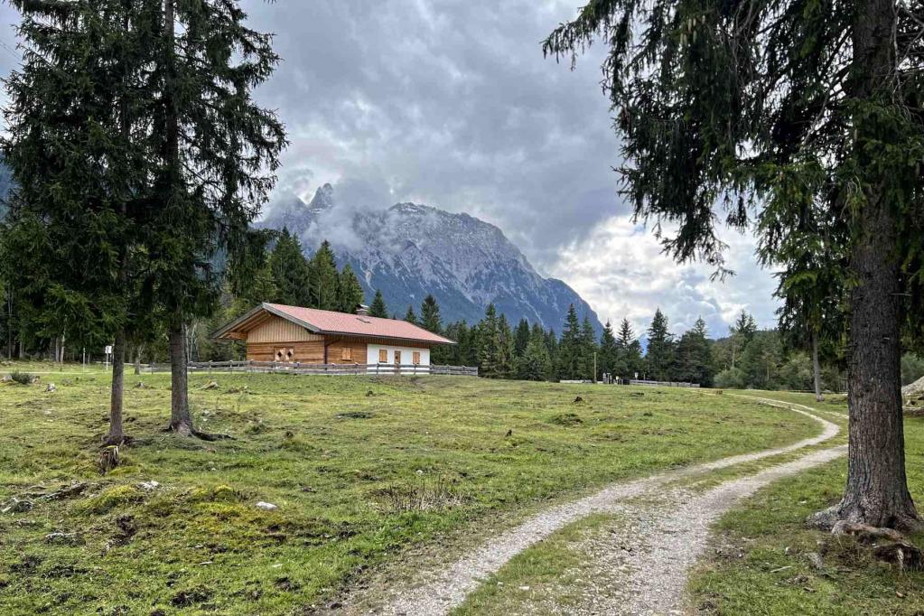 Seinsalm