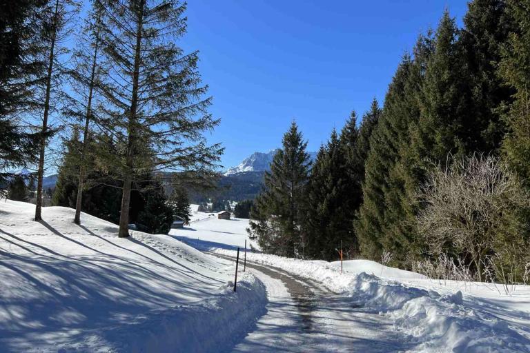 Winterwanderung Mittenwald Buckelwiesen