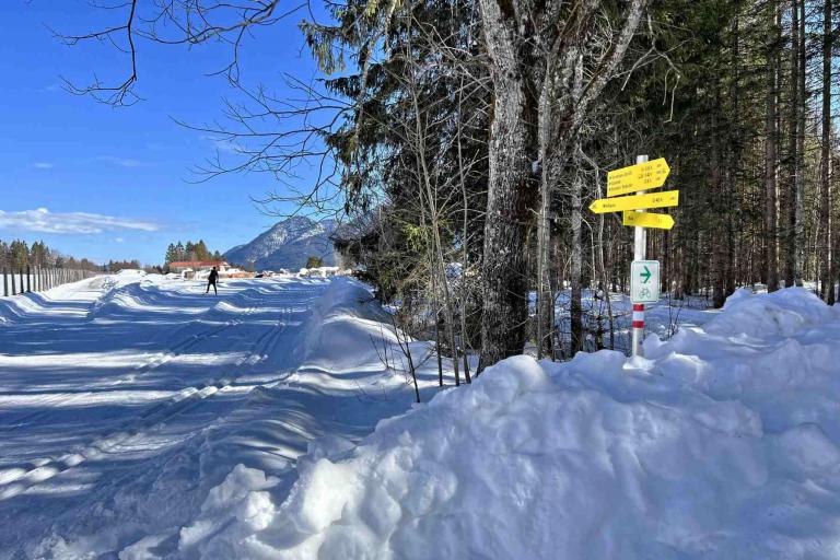 Winterwanderung Kruen Barmseerundweg