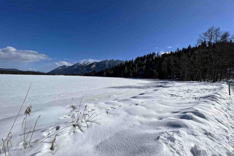 Winterwanderung Uferweg Barmsee