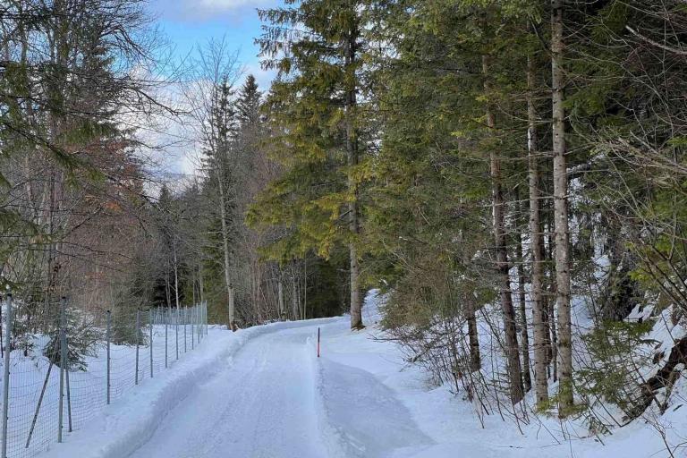 Winterwanderung Mittenwald Isarhorn Kruen