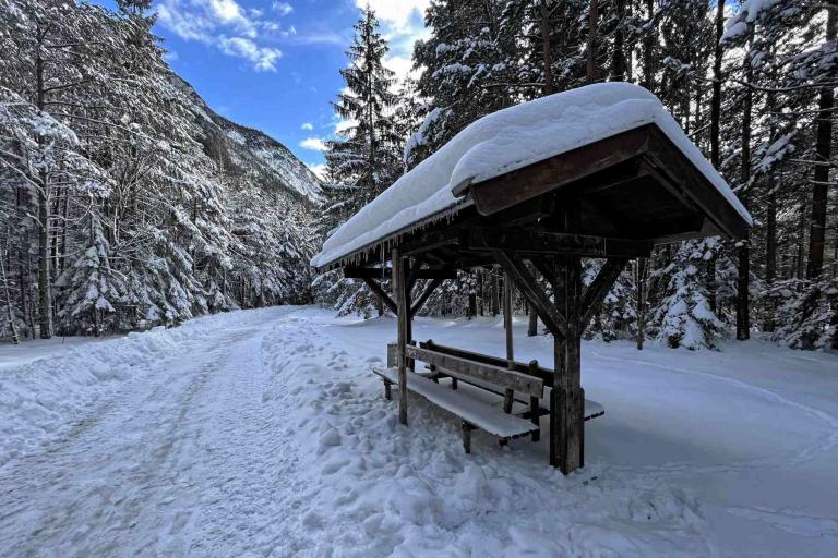 Mittenwald Winterwanderung Waldweg Scharnitz